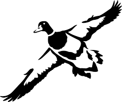 48x 30' Grass Duck Blind Roll – Duckhuntinggrassblinds